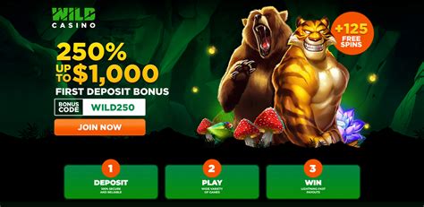 payid casino australia|pokie surf casino no deposit bonus.